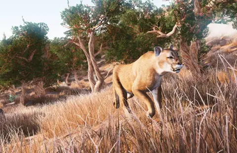 Hunting Simulator - Lao-ce és a gímszarvas