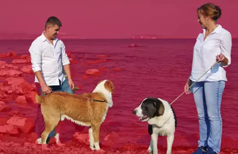 Megérkezett a Photoshopba a mesterséges intelligencia