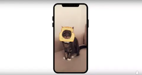 Már cicákon is működik a Snapchat Lenses (de tényleg)
