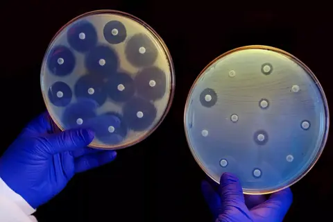 Az evolúció lassításával győznék le az antibiotikum rezisztenciát
