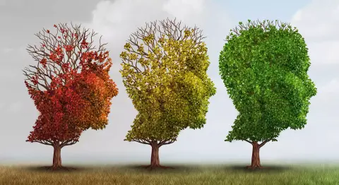 A vér-agy gát megnyitásával fordítanák vissza az Alzheimer-kór hatásait