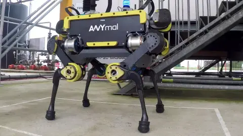 Egy svájci robotkutya szimulátorban tanulja az életet