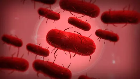indiePon - Oltásellenesek fogják segíteni a Plague Inc. bacijait