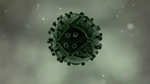 Egy második beteg is meggyógyult a HIV-fertőzésből