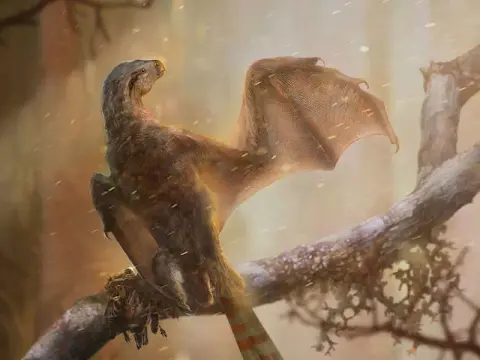 A repülés történetéről vallanak egy újabb denevérszárnyú dinoszaurusz maradványai