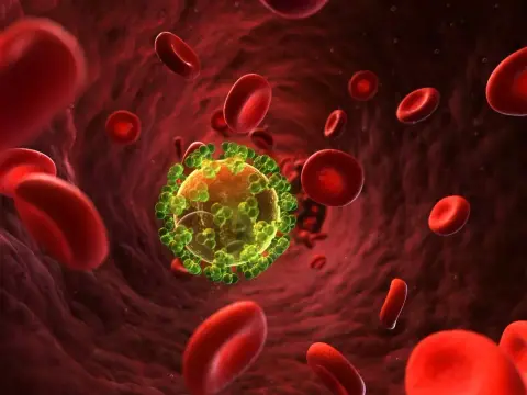 Egereket gyógyítottak ki a HIV-fertőzésből génszerkesztéssel