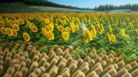 Mesterséges napraforgó javíthatja a napenergia kiaknázását