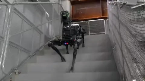 Rendőri szolgálatba állt Spot, a robotkutya