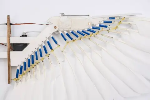 Gyönyörűen repül egy galambtollakkal ékeskedő robot