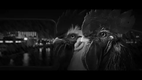 Akcióban a csirkekopók - Interjú Varga Bálint Bánkkal, a Chicken Police designerével