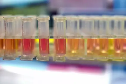 5 perces, CRISPR-alapú koronavírus-tesztek jöhetnek