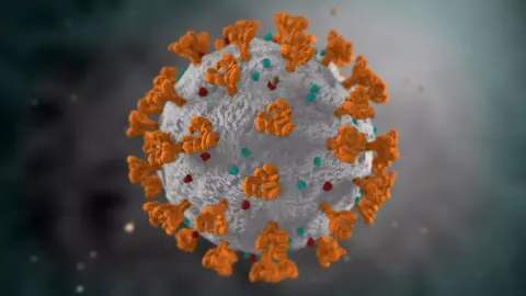 Az enyhe és a tünetmentes SARS-CoV-2 fertőzés is tartós immunitást biztosíthat