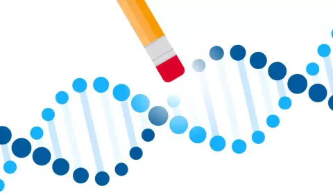 Gyorsan öregedő egerek élettartamát nyújtották meg a CRISPR révén