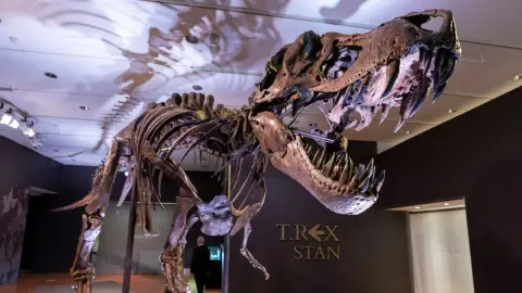 Hányan voltak a T. rexek?
