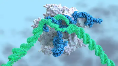 Először kezeltek vérbe injekciózott CRISPR-technikával egy genetikai betegséget