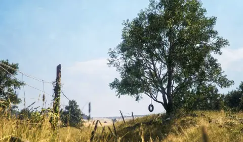 Korai hozzáférésben a Megascans Trees