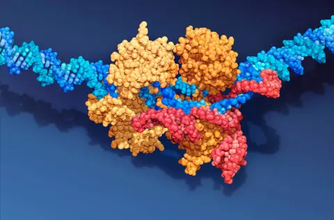 Akár egy évig is hatásos az első vérbe injektálható CRISPR-terápia