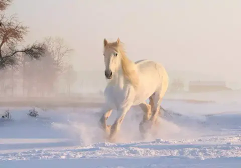 Készülj fel egy életre szóló kalandra - érkezik a Horse Tales