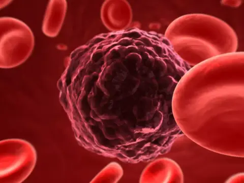 A daganatos sejtek alvás közben a legaktívabbak