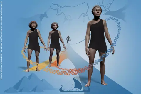 Az emberi evolúció kutatásáért járt az idei orvosi és élettani Nobel-díj