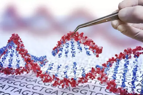 A CRISPR és a személyre szabott rákterápiák