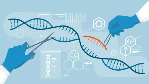 Először engedélyeztek CRISPR-alapú terápiát az Egyesült Államokban