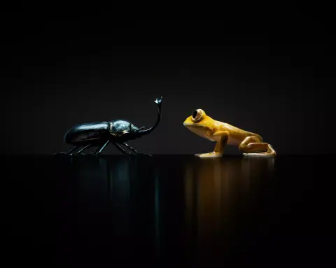 Ismét új terméket jelent be a Nothing, miközben frissült a Phone (2a)