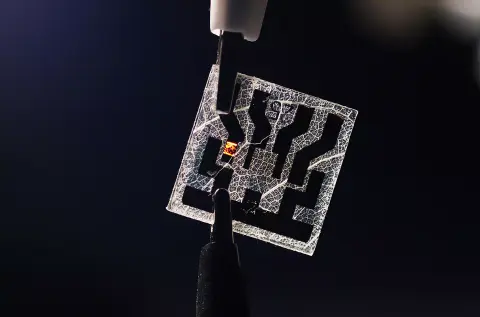 Elektronika levelekből