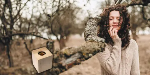 Szinte teljesen fából készített Bluetooth hangszórót a JVCKenwood