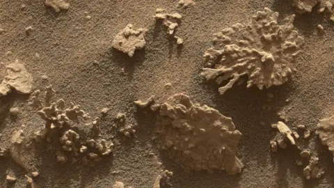 A Curiosity „korallzátonyt” talált a Marson