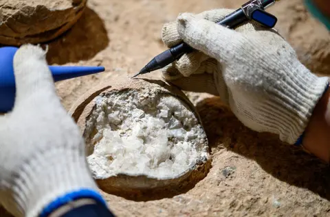 Először határozták meg közvetlenül dinoszaurusztojások korát