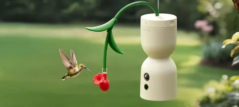 Már 360 fokos kamerával szerelt madáretető is jön a Birdfy-tól