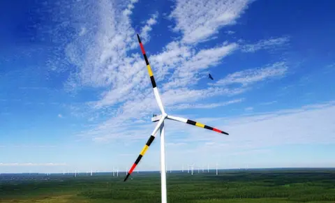 Windkraftanlagen, Schlangen, Vögel