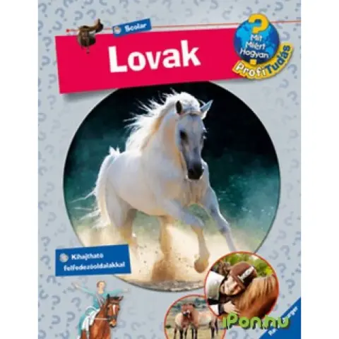 Mit? Miért? Hogyan? - Lovak