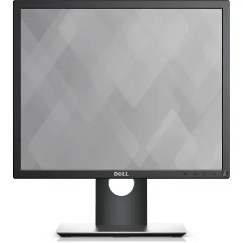 DELL P1917S
