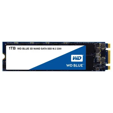 WD 1TB Blue M.2 SATA M.2 2280 WDS100T2B0B