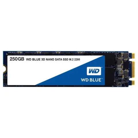 WD 250GB Blue M.2 SATA M.2 2280 WDS250G2B0B
