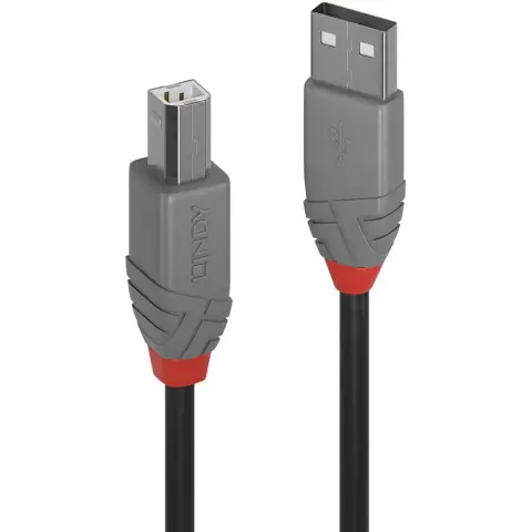 LINDY USB Összekötő Fekete 50cm 36671
