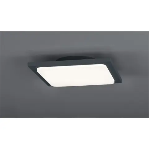 TRIO LIGHTING 620160142 Trave 18W 1750lm 3000K anthrazitfarbene Deckenleuchte