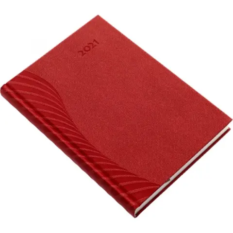 REALSYSTEM 2022 Amigo 5321-59 A5 daily planner burgundy
