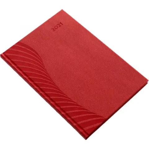 REALSYSTEM 2022 Amigo 5611-59 B5 weekly planner burgundy