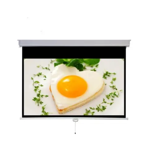 MEDIUM Rollo projection screen 215x135 cm 100" 16:10