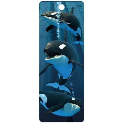 3D Könvjelző - Kardszárnyú delfin