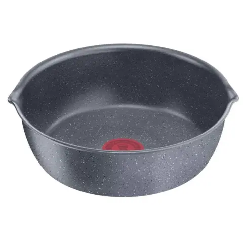 TEFAL L3968302 Ingenio Natural Force Pot 22 cm