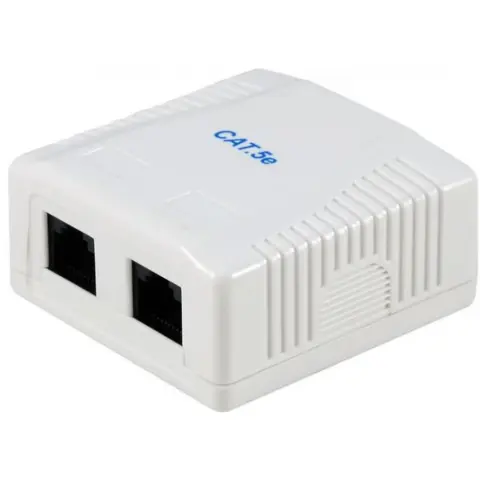 EQUIP 2-Port Cat.5e Surface Mount Box 235114