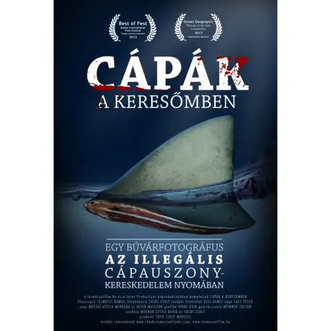 Cápák a keresőmben (DVD)