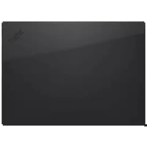 LENOVO ThinkPad Professional Sleeve 14" black