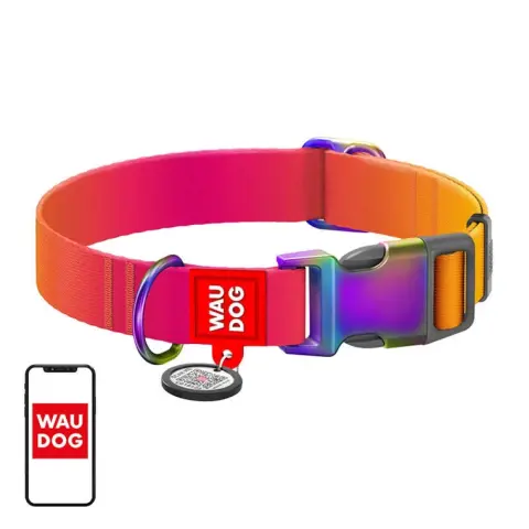 WAUDOG 46504 Gradient Nylon dog collar with QR code XL narancssárga
