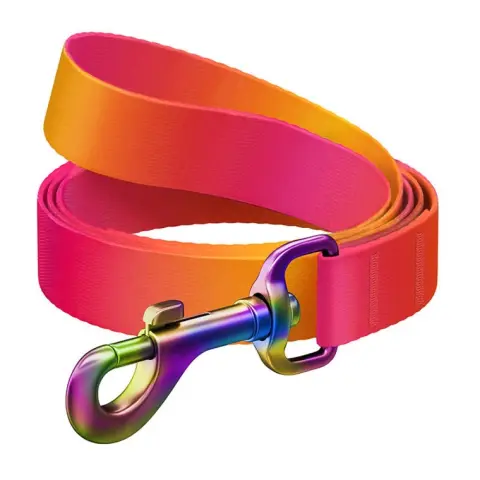 WAUDOG 46604 Gradient Nylon dog leash 122 cm narancssárga