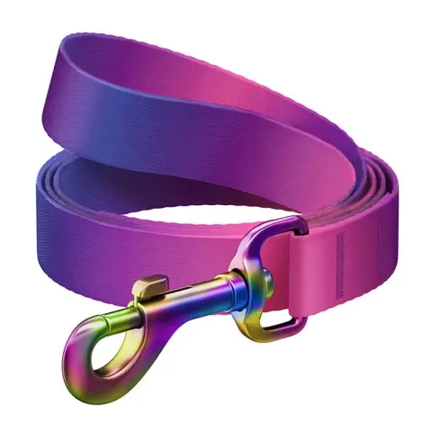 WAUDOG 46609 Gradient Nylon dog leash 122 cm lila